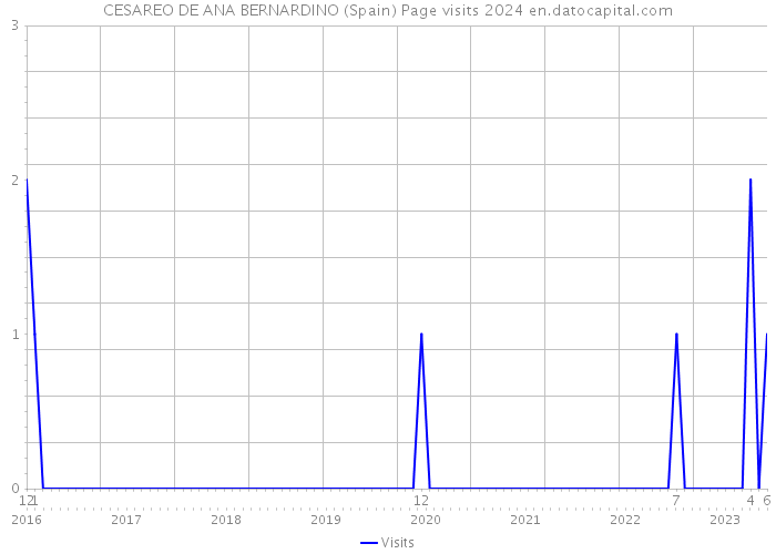 CESAREO DE ANA BERNARDINO (Spain) Page visits 2024 