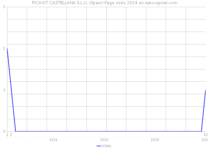  PICAVIT CASTELLANA S.L.U. (Spain) Page visits 2024 