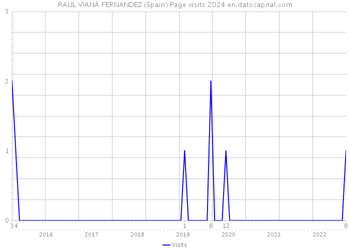 RAUL VIANA FERNANDEZ (Spain) Page visits 2024 