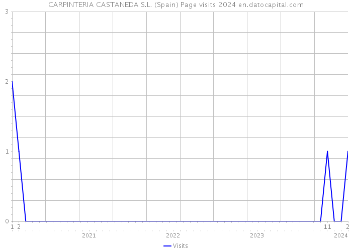 CARPINTERIA CASTANEDA S.L. (Spain) Page visits 2024 