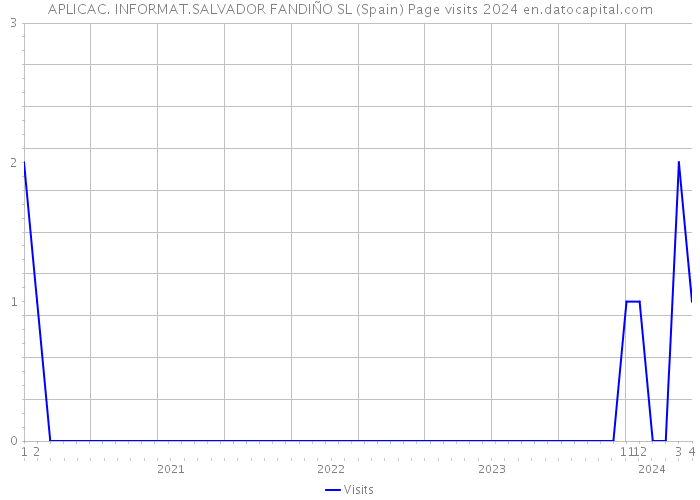 APLICAC. INFORMAT.SALVADOR FANDIÑO SL (Spain) Page visits 2024 