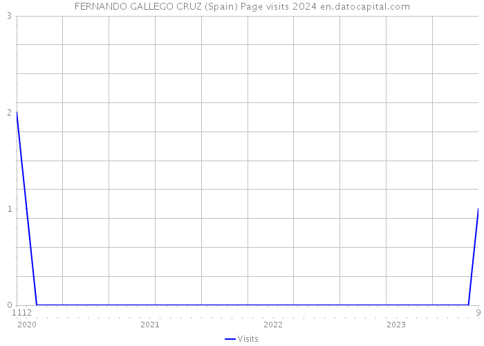 FERNANDO GALLEGO CRUZ (Spain) Page visits 2024 