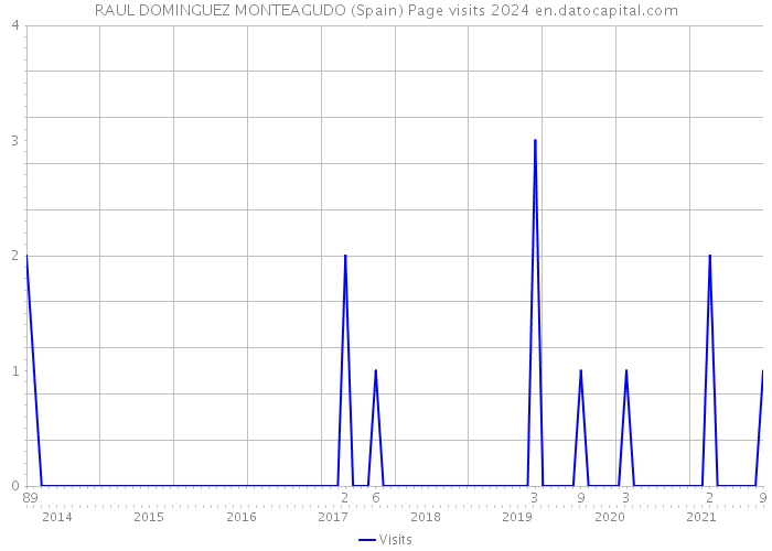 RAUL DOMINGUEZ MONTEAGUDO (Spain) Page visits 2024 
