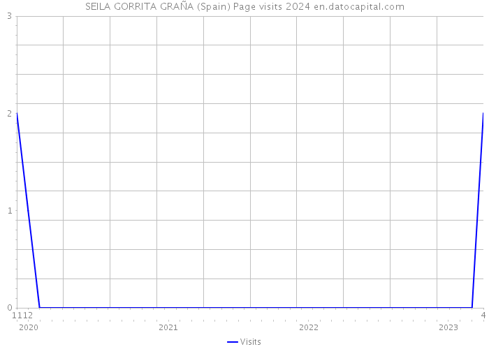 SEILA GORRITA GRAÑA (Spain) Page visits 2024 