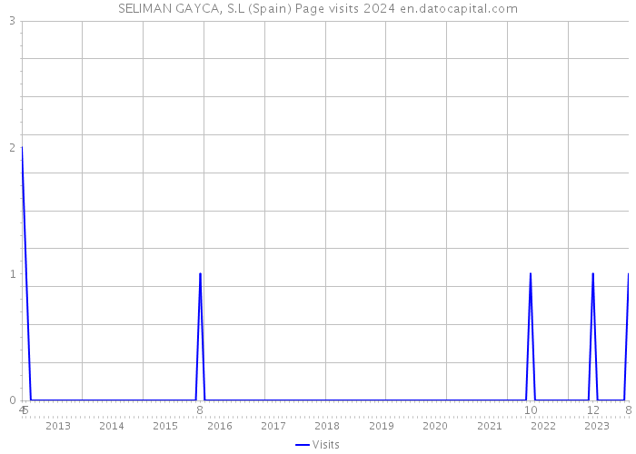 SELIMAN GAYCA, S.L (Spain) Page visits 2024 