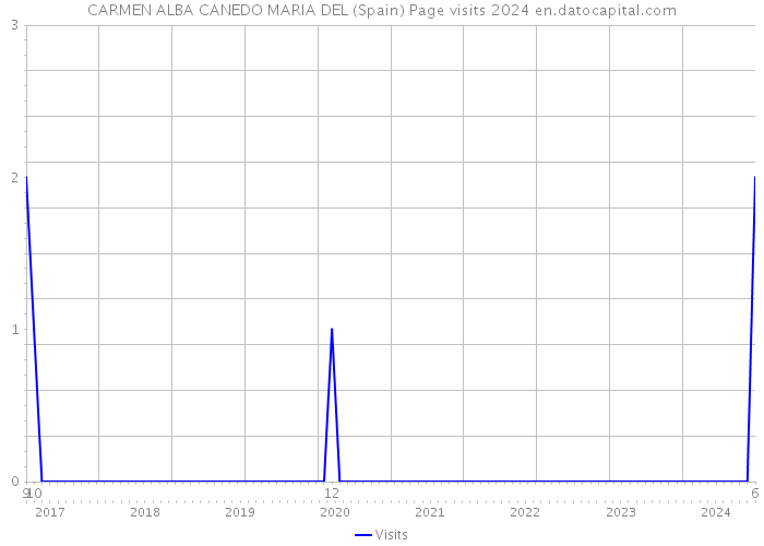 CARMEN ALBA CANEDO MARIA DEL (Spain) Page visits 2024 