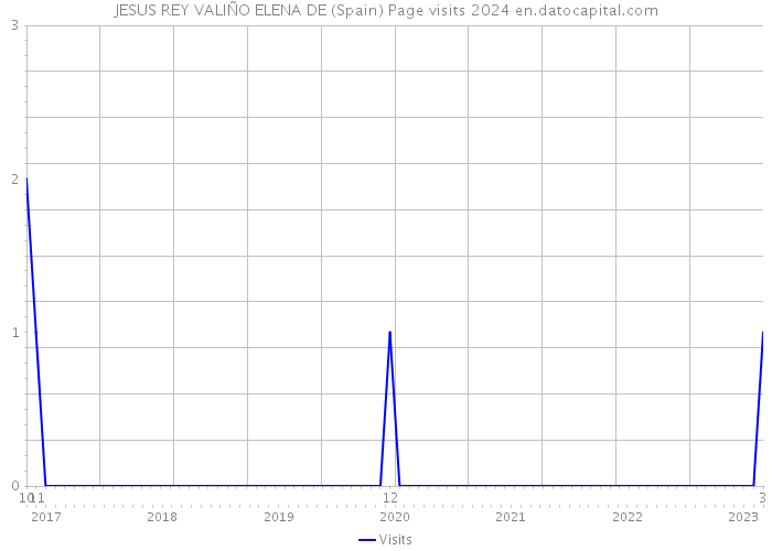 JESUS REY VALIÑO ELENA DE (Spain) Page visits 2024 