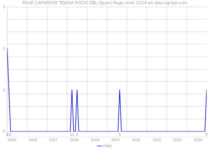 PILAR CAPARROS TEJADA ROCIO DEL (Spain) Page visits 2024 