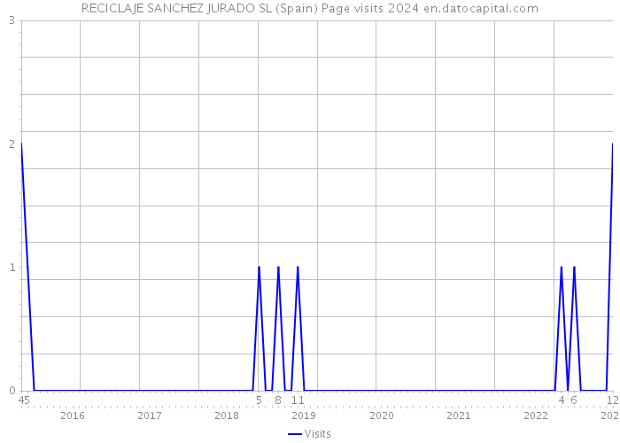 RECICLAJE SANCHEZ JURADO SL (Spain) Page visits 2024 