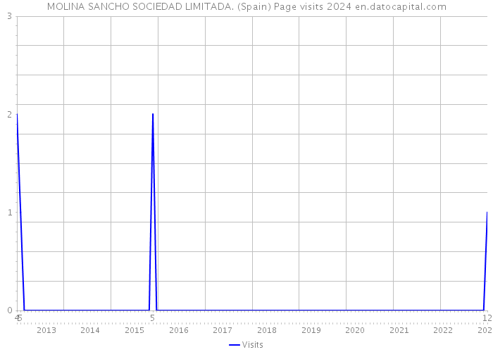 MOLINA SANCHO SOCIEDAD LIMITADA. (Spain) Page visits 2024 