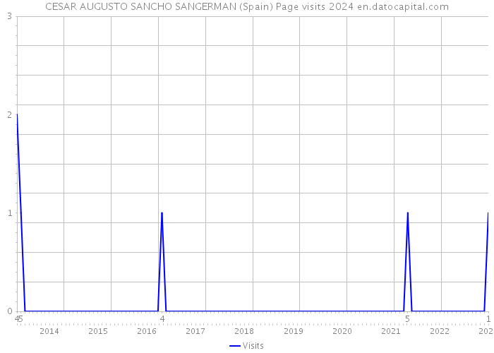 CESAR AUGUSTO SANCHO SANGERMAN (Spain) Page visits 2024 