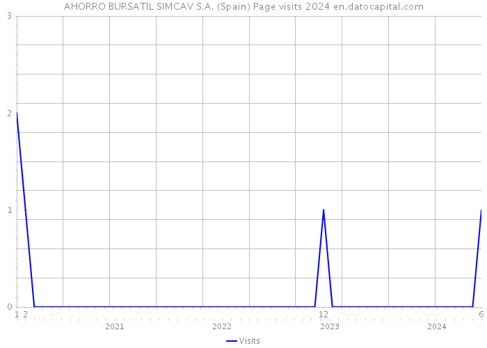 AHORRO BURSATIL SIMCAV S.A. (Spain) Page visits 2024 