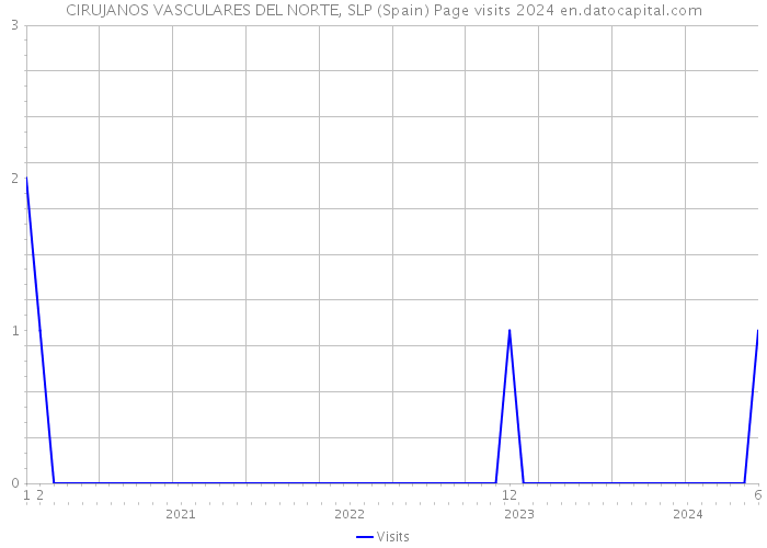 CIRUJANOS VASCULARES DEL NORTE, SLP (Spain) Page visits 2024 