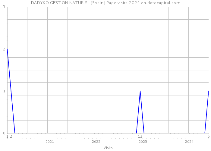 DADYKO GESTION NATUR SL (Spain) Page visits 2024 