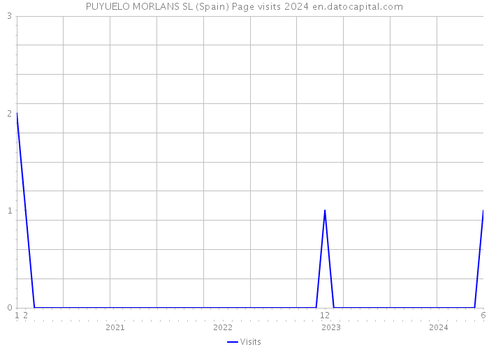 PUYUELO MORLANS SL (Spain) Page visits 2024 