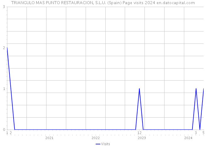 TRIANGULO MAS PUNTO RESTAURACION, S.L.U. (Spain) Page visits 2024 