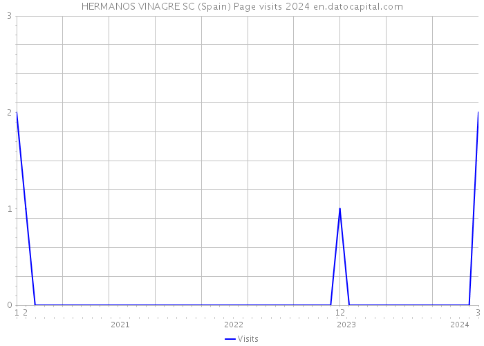 HERMANOS VINAGRE SC (Spain) Page visits 2024 