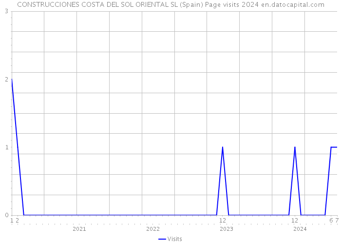 CONSTRUCCIONES COSTA DEL SOL ORIENTAL SL (Spain) Page visits 2024 