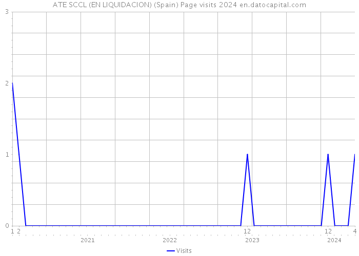 ATE SCCL (EN LIQUIDACION) (Spain) Page visits 2024 