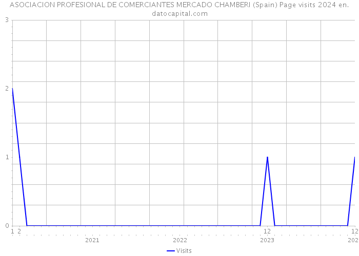 ASOCIACION PROFESIONAL DE COMERCIANTES MERCADO CHAMBERI (Spain) Page visits 2024 
