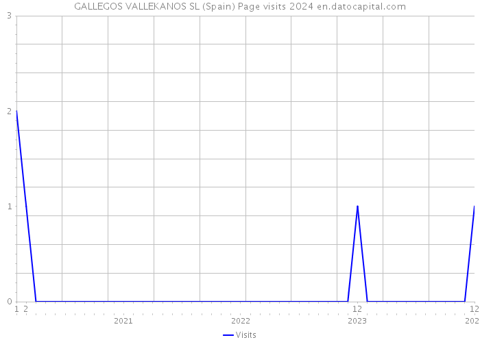 GALLEGOS VALLEKANOS SL (Spain) Page visits 2024 