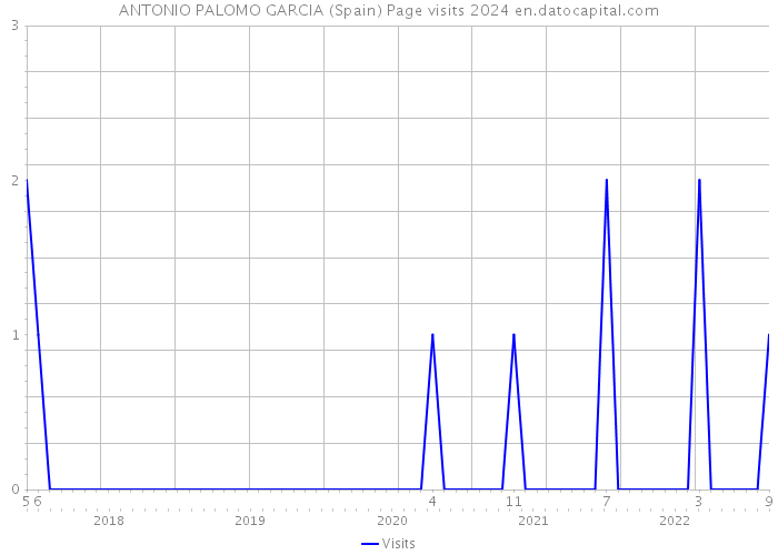 ANTONIO PALOMO GARCIA (Spain) Page visits 2024 