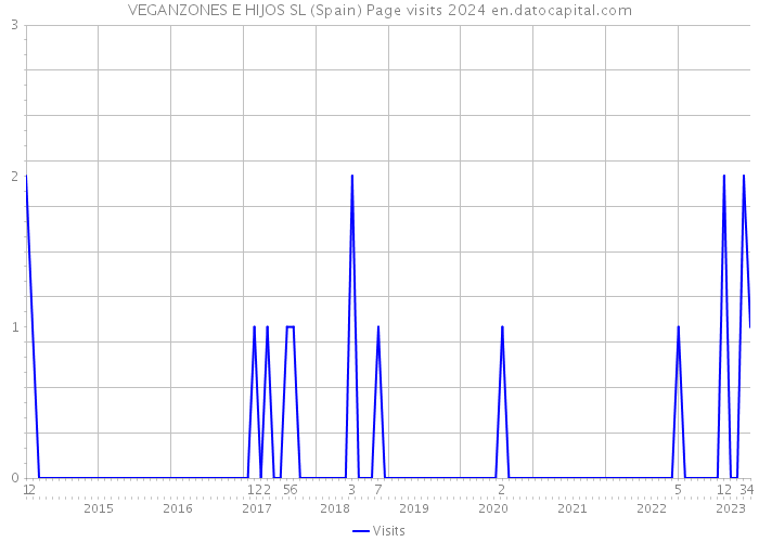 VEGANZONES E HIJOS SL (Spain) Page visits 2024 