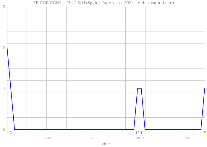 TRICOR CONSULTING SLU (Spain) Page visits 2024 