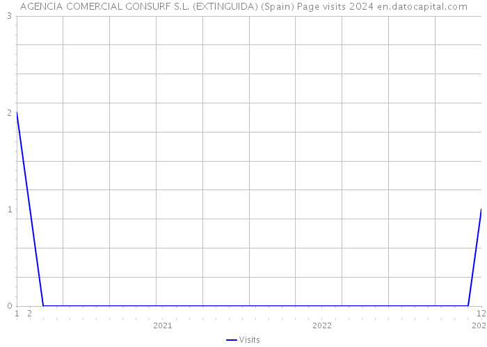 AGENCIA COMERCIAL GONSURF S.L. (EXTINGUIDA) (Spain) Page visits 2024 