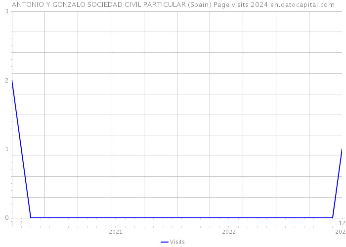 ANTONIO Y GONZALO SOCIEDAD CIVIL PARTICULAR (Spain) Page visits 2024 