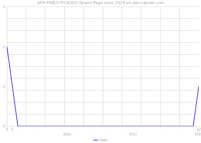 APA PABLO PICASSO (Spain) Page visits 2024 