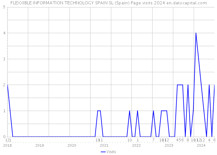 FLEXXIBLE INFORMATION TECHNOLOGY SPAIN SL (Spain) Page visits 2024 