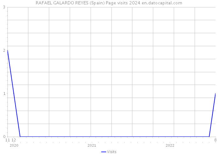 RAFAEL GALARDO REYES (Spain) Page visits 2024 