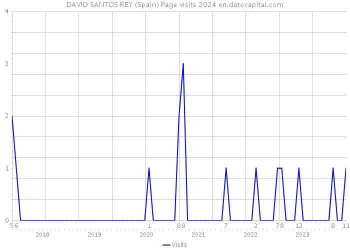 DAVID SANTOS REY (Spain) Page visits 2024 