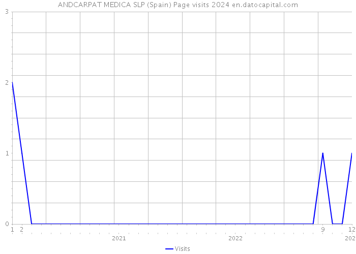 ANDCARPAT MEDICA SLP (Spain) Page visits 2024 