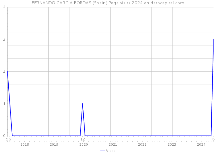 FERNANDO GARCIA BORDAS (Spain) Page visits 2024 