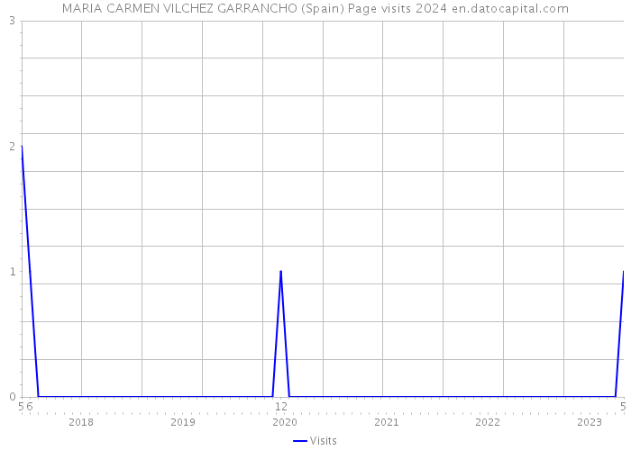 MARIA CARMEN VILCHEZ GARRANCHO (Spain) Page visits 2024 