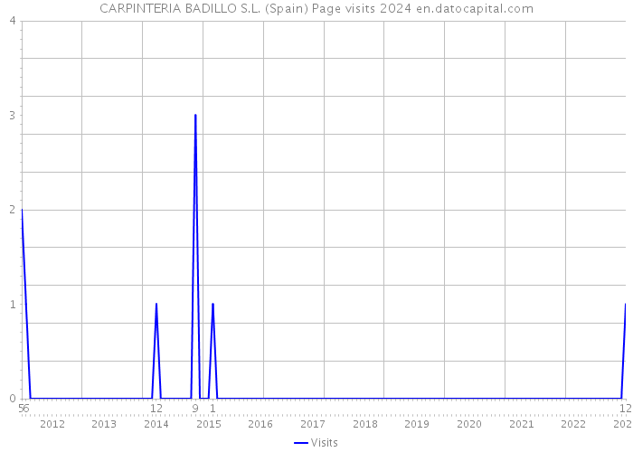 CARPINTERIA BADILLO S.L. (Spain) Page visits 2024 