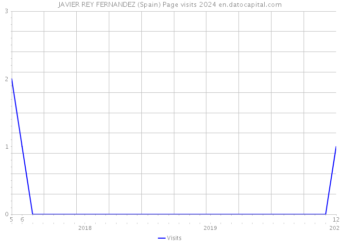 JAVIER REY FERNANDEZ (Spain) Page visits 2024 