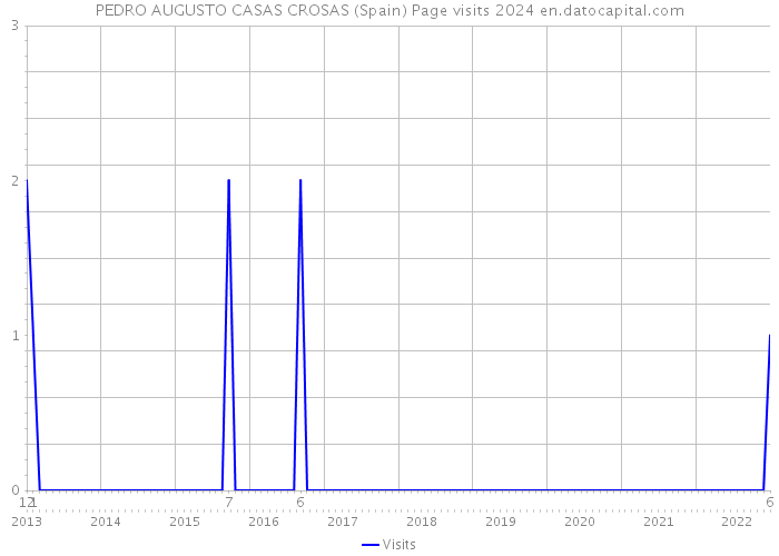 PEDRO AUGUSTO CASAS CROSAS (Spain) Page visits 2024 