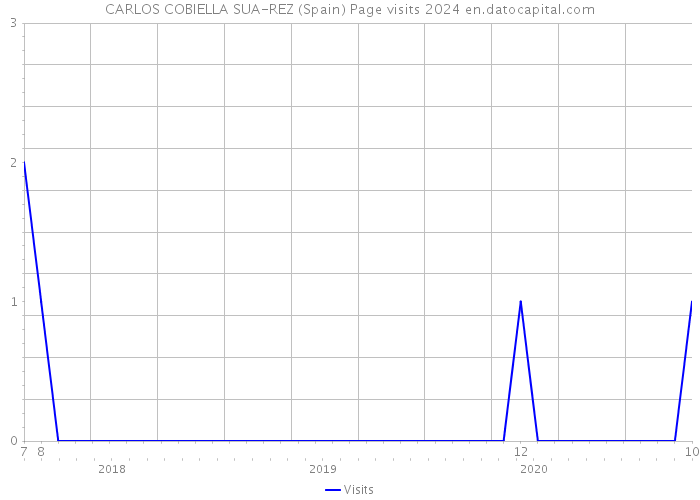 CARLOS COBIELLA SUA-REZ (Spain) Page visits 2024 