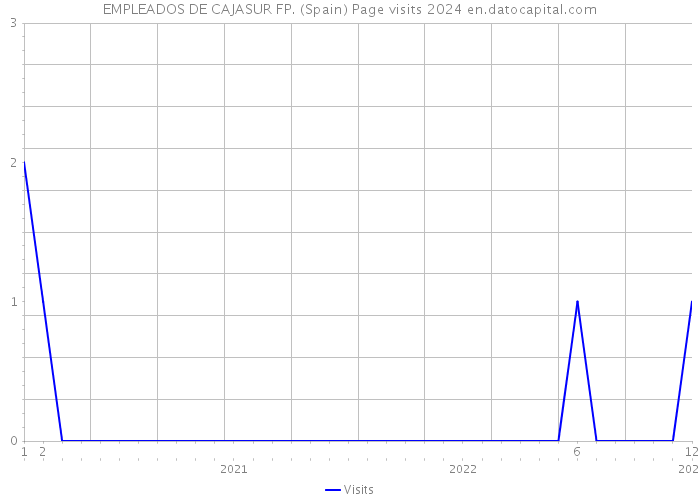 EMPLEADOS DE CAJASUR FP. (Spain) Page visits 2024 