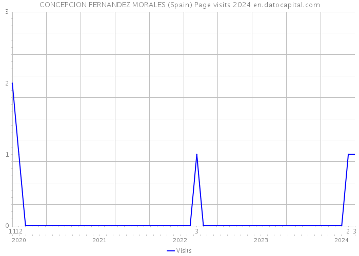 CONCEPCION FERNANDEZ MORALES (Spain) Page visits 2024 