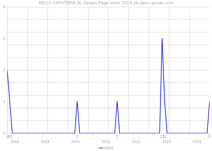 RECIO ZAPATERIA SL (Spain) Page visits 2024 