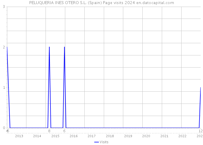 PELUQUERIA INES OTERO S.L. (Spain) Page visits 2024 