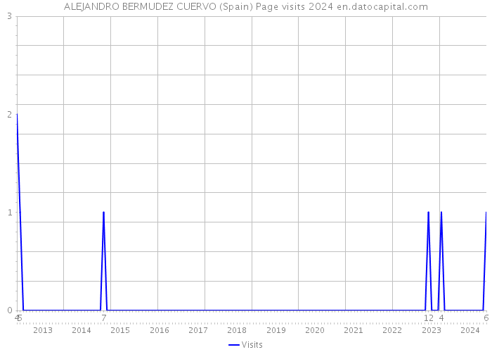 ALEJANDRO BERMUDEZ CUERVO (Spain) Page visits 2024 