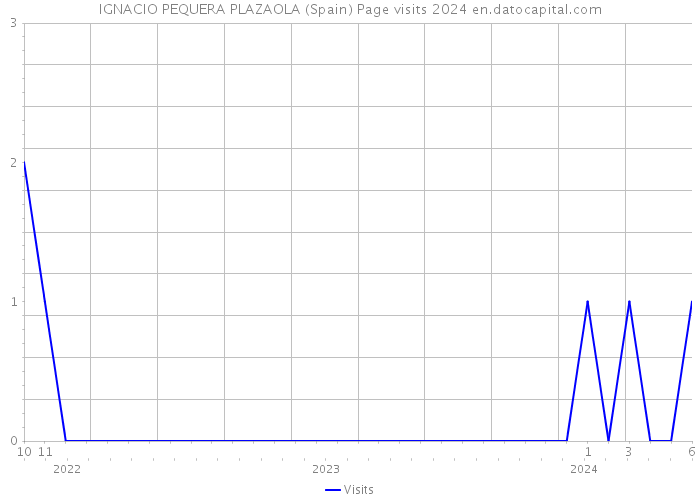 IGNACIO PEQUERA PLAZAOLA (Spain) Page visits 2024 