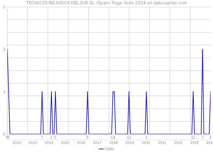 TECNICOS REUNIDOS DEL SUR SL. (Spain) Page visits 2024 