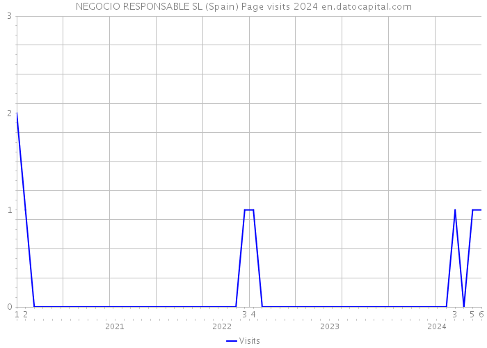 NEGOCIO RESPONSABLE SL (Spain) Page visits 2024 