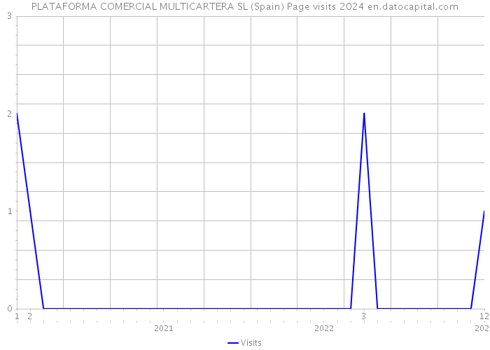 PLATAFORMA COMERCIAL MULTICARTERA SL (Spain) Page visits 2024 